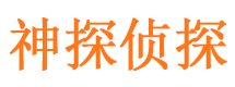 右江市私家侦探